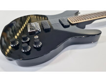 Rickenbacker 220 Hambourg (15833)