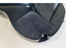 Rickenbacker 220 Hambourg (61837)