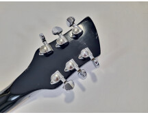 Rickenbacker 220 Hambourg (16383)