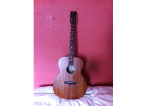 Tanglewood TW130 ASM (46567)