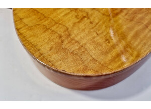 Fender Select Carved Maple Top Telecaster (1333)