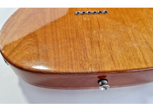 Fender Select Carved Maple Top Telecaster (2342)