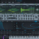Serum Serum