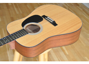 Martin & Co D-1GT (31288)