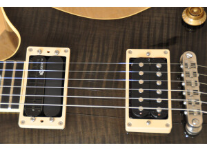 Fernandes Ravelle Elite (94708)