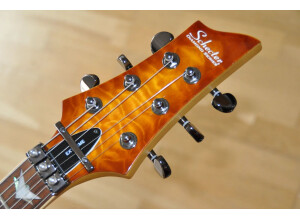 Schecter Banshee-6 FR Extreme (80155)