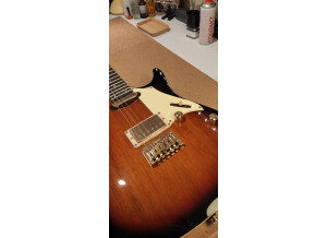 Ibanez FR365 (69271)