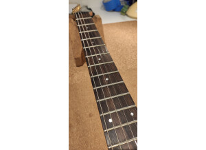 Ibanez FR365 (37034)