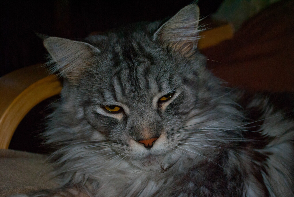 6429201.jpg 6429201.jpg