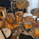 PEARL MLX ALL MAPLE SHELL  PEARL MLX ALL MAPLE SHELL