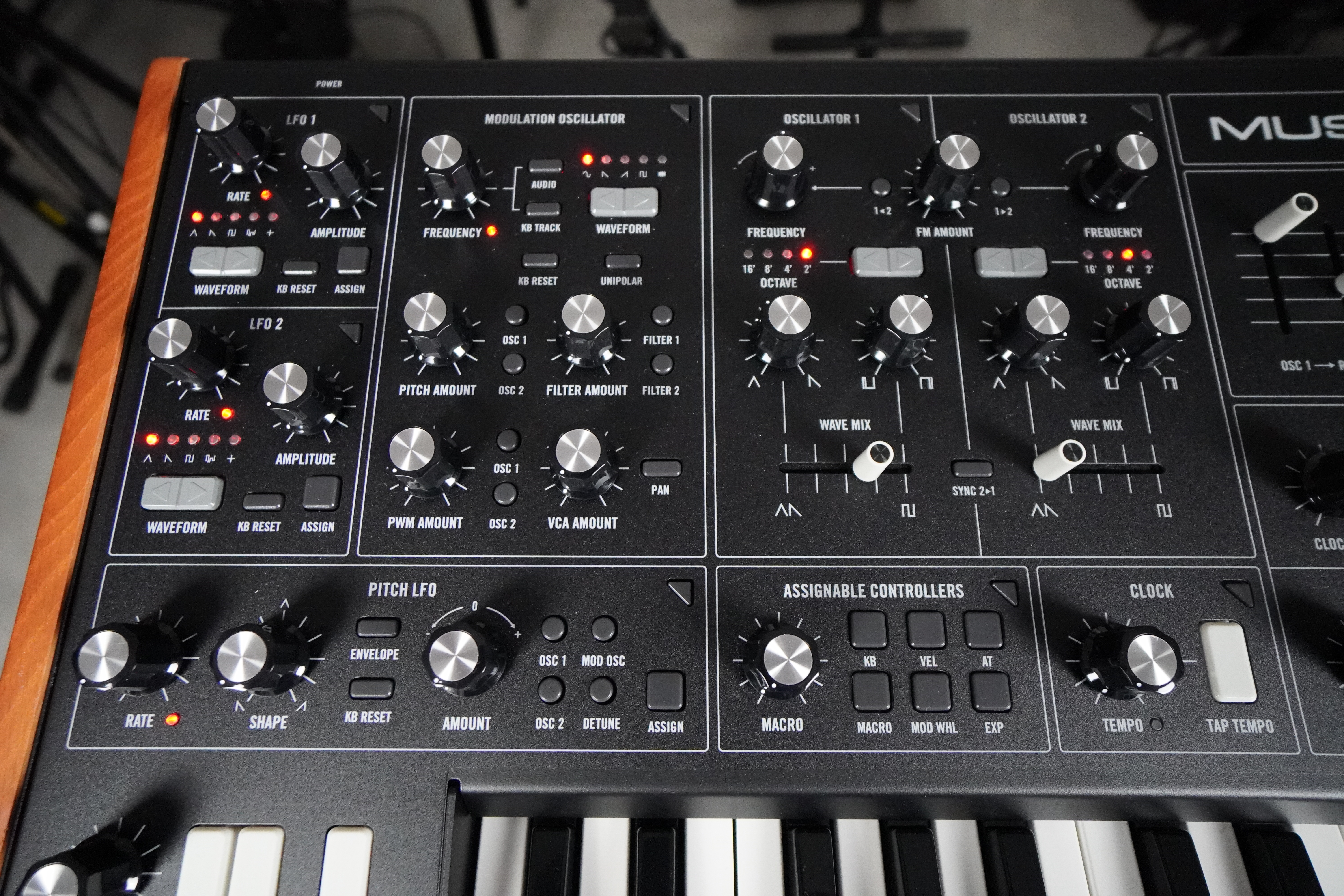 Muse 2tof 10 VCO LFO