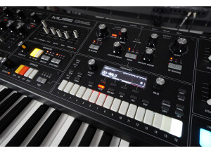 Muse 2tof 16 Mixeur VCF Oled