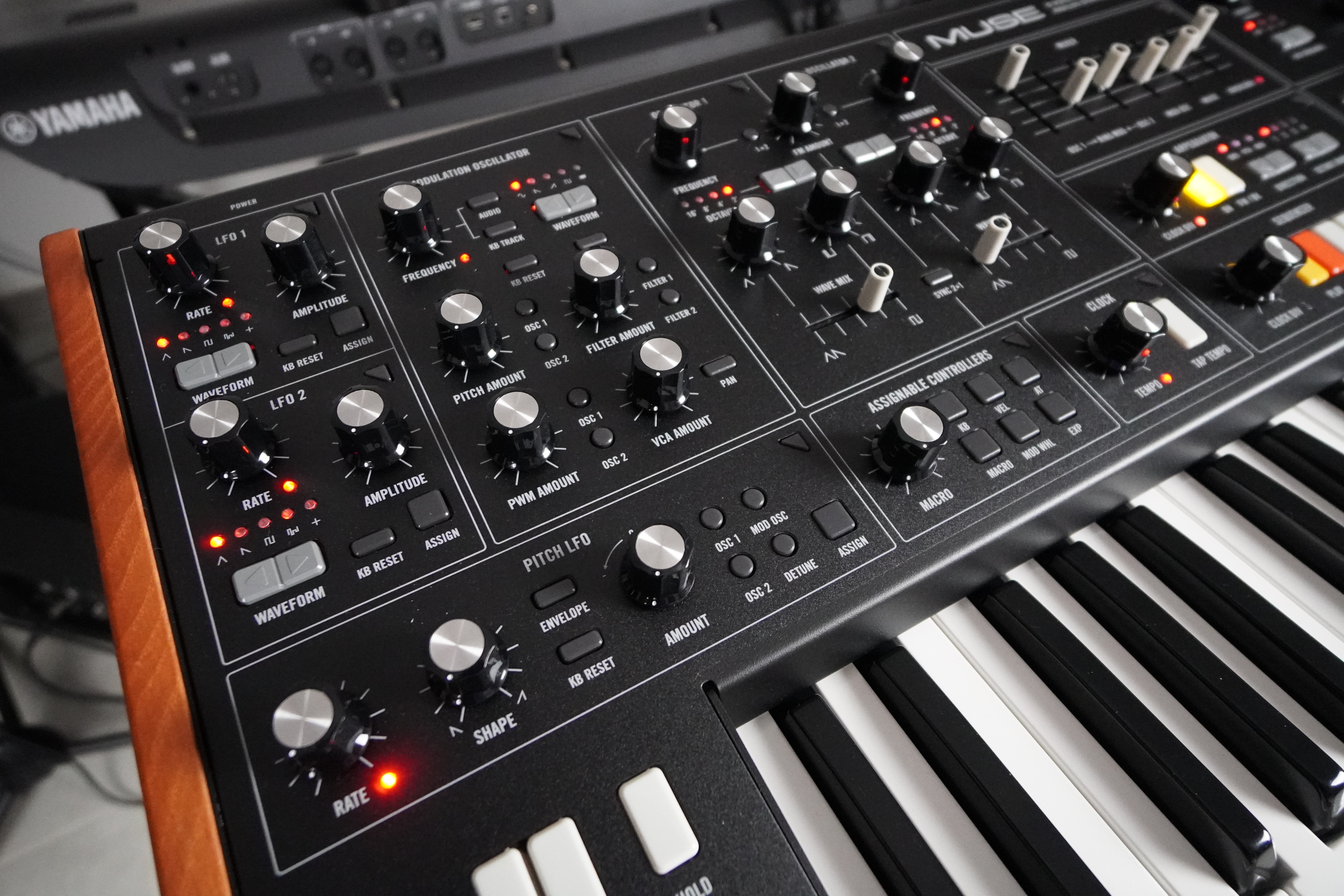 Muse 2tof 18 VCO LFO