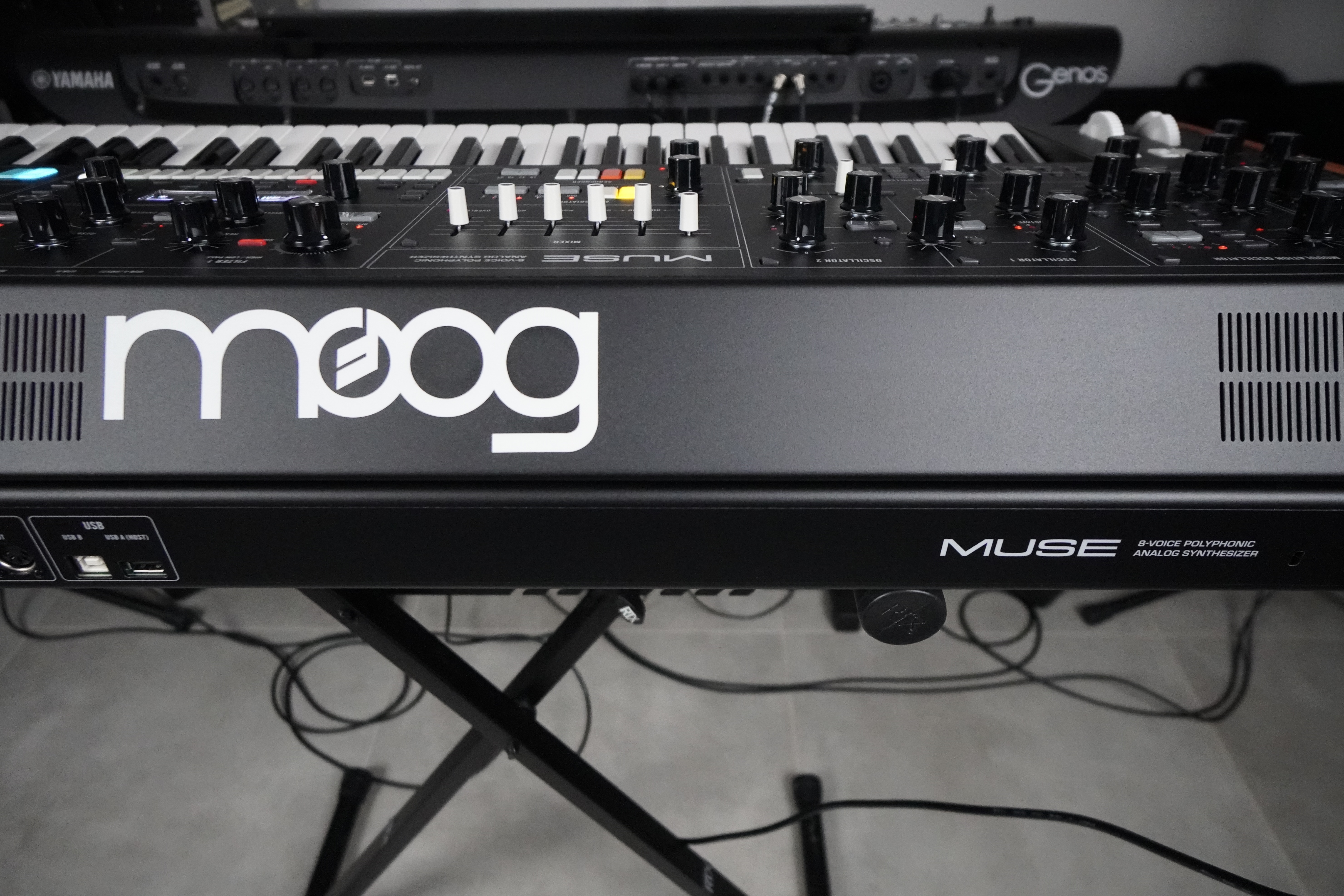 Muse 2tof 26 Arri&egrave;re Moog