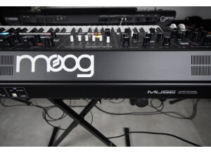 Muse 2tof 26 Arrière Moog