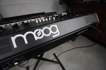 Muse 2tof 35 Trois quart arrière Moog Muse 2tof 35 Trois quart arrière Moog