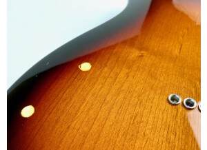 Fender Player Telecaster (84395)