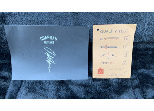 Chapman Guitars ML3 Pro Modern (9526)