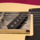 40th Anniversary Telecaster 40th Anniversary Telecaster