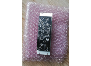 Noise Engineering Zularic Repetitor (22343)