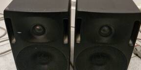Vends paire d'enceinte de monitoring