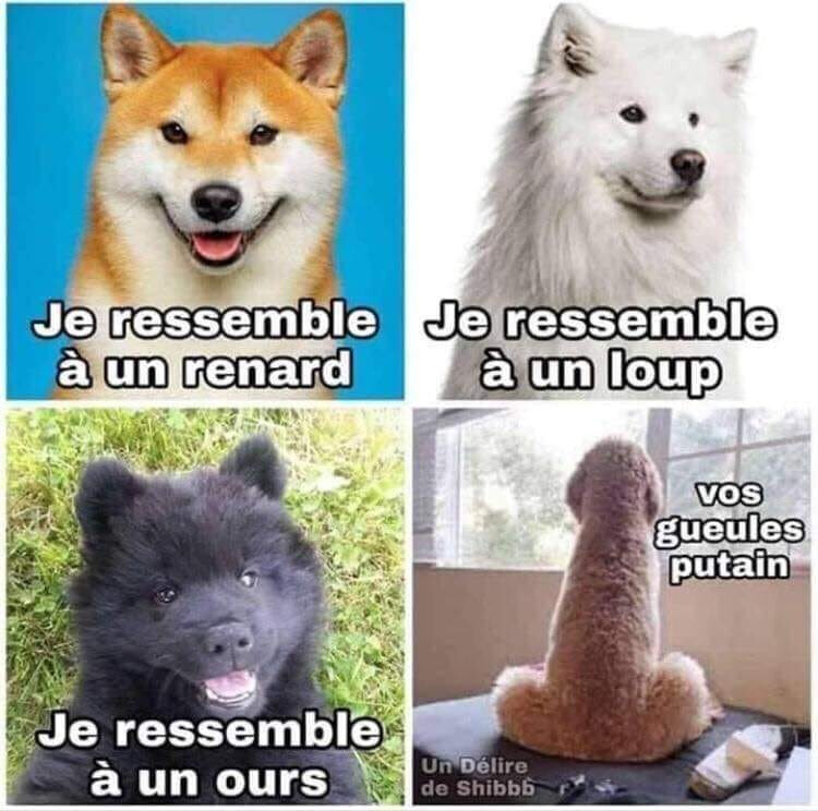 6433772.jpg 6433772.jpg