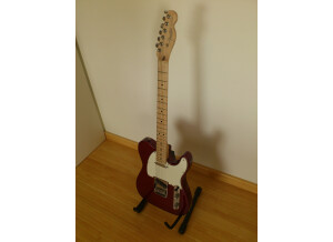 Fender American Standard Telecaster - Candy Cola Maple