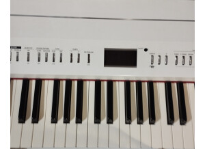Roland FP-7F (74220)