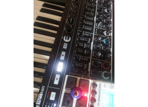 Arturia MiniBrute 2 (793)