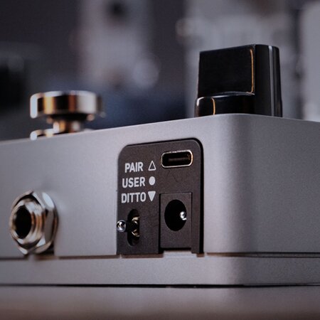Ditto 2 Looper SIde Ditto 2 Looper SIde