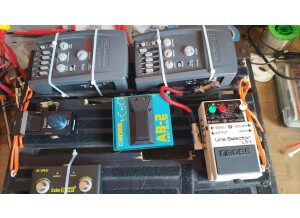 Fishman Pro-EQ Platinum Bass (23489)