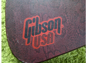 Gibson Flying v Voodoo case