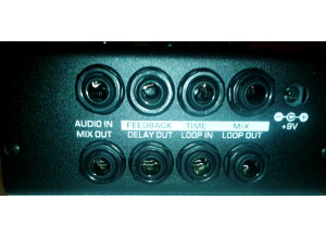 Moog Music MF-104Z Analog Delay (29955)