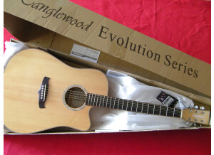 Tanglewood TW28 CE XFM (30345)