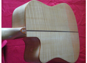 Tanglewood TW28 CE XFM (7920)