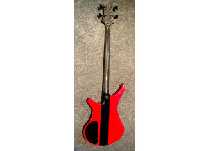bass-vigier-passion5