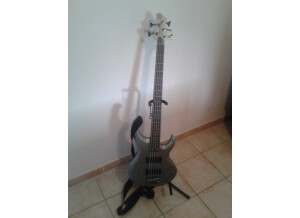 Ibanez BTB205 - Titanium Gray Flat