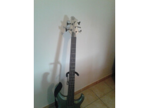 Ibanez BTB205 - Titanium Gray Flat