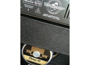 traynor/celestionV30