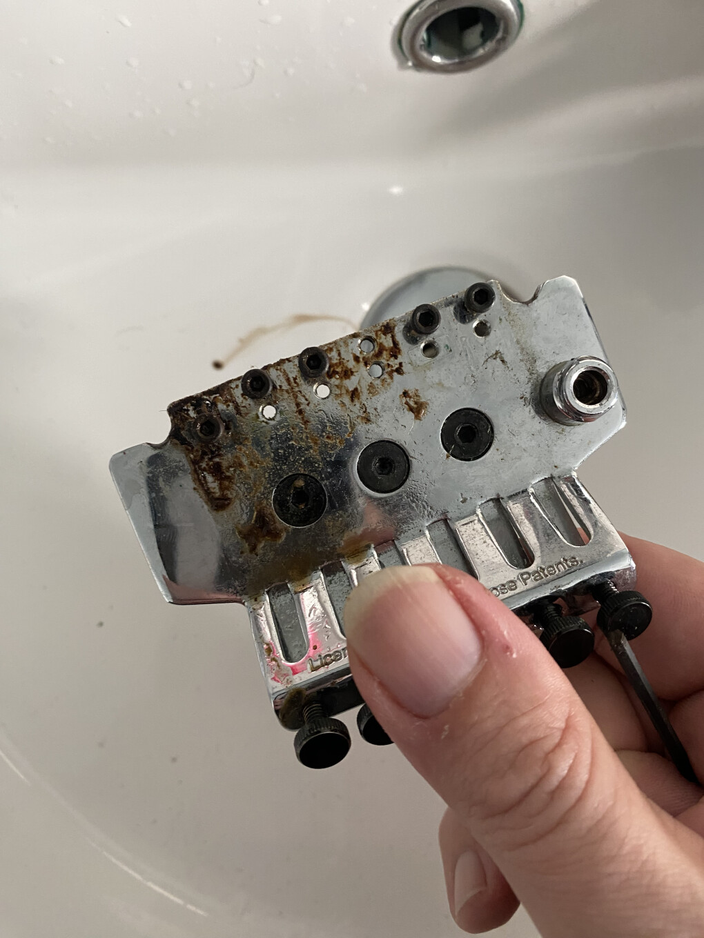 6442397.jpeg 6442397.jpeg