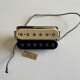 PAF.  Gary Moore  replica PAF.  Gary Moore  replica