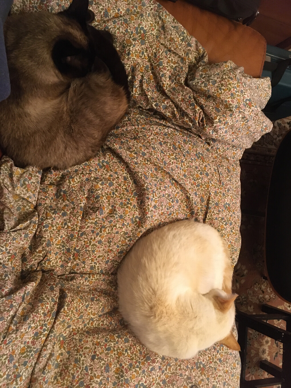 6443336.jpg 6443336.jpg