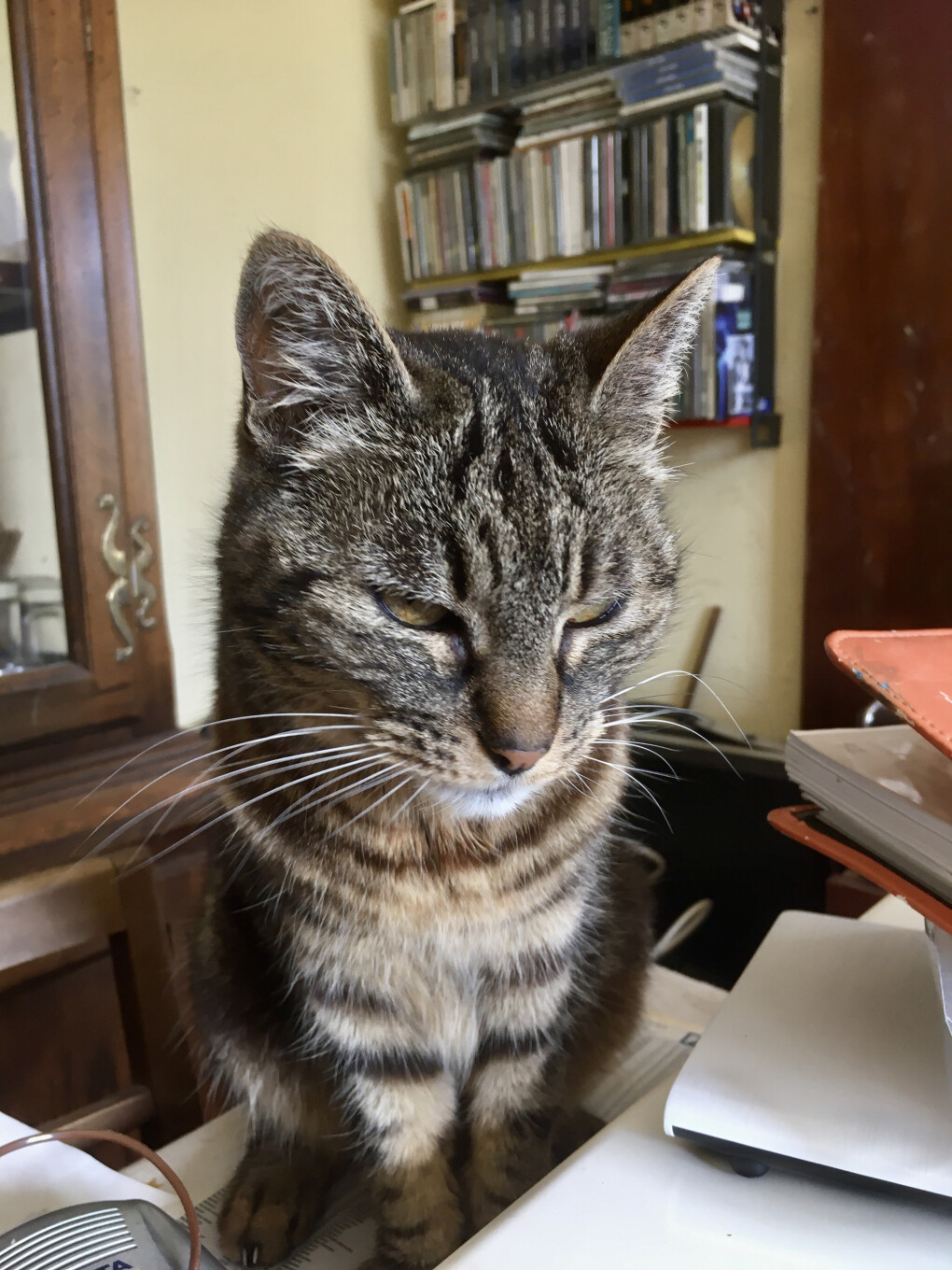 6443338.jpg 6443338.jpg