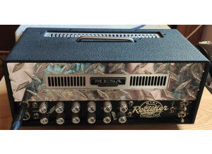 Mesa Boogie Mini Rectifier Twenty Five Head (10079)