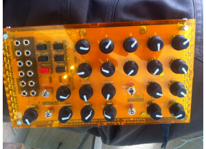 Mutable Instruments Anushri (23507)