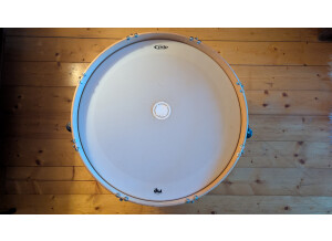 PXL 20250331 173036456