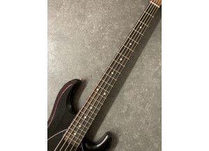 Sterling by Music Man StingRay Ray35 (94343)