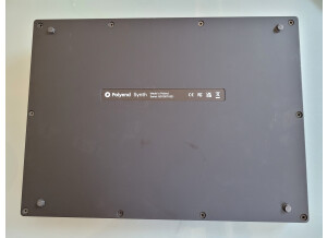 Polyend Synth (27290)