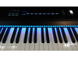Native Instruments Komplete Kontrol S88 (68113)