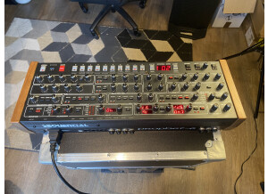 Sequential Prophet-6 Module (7687)